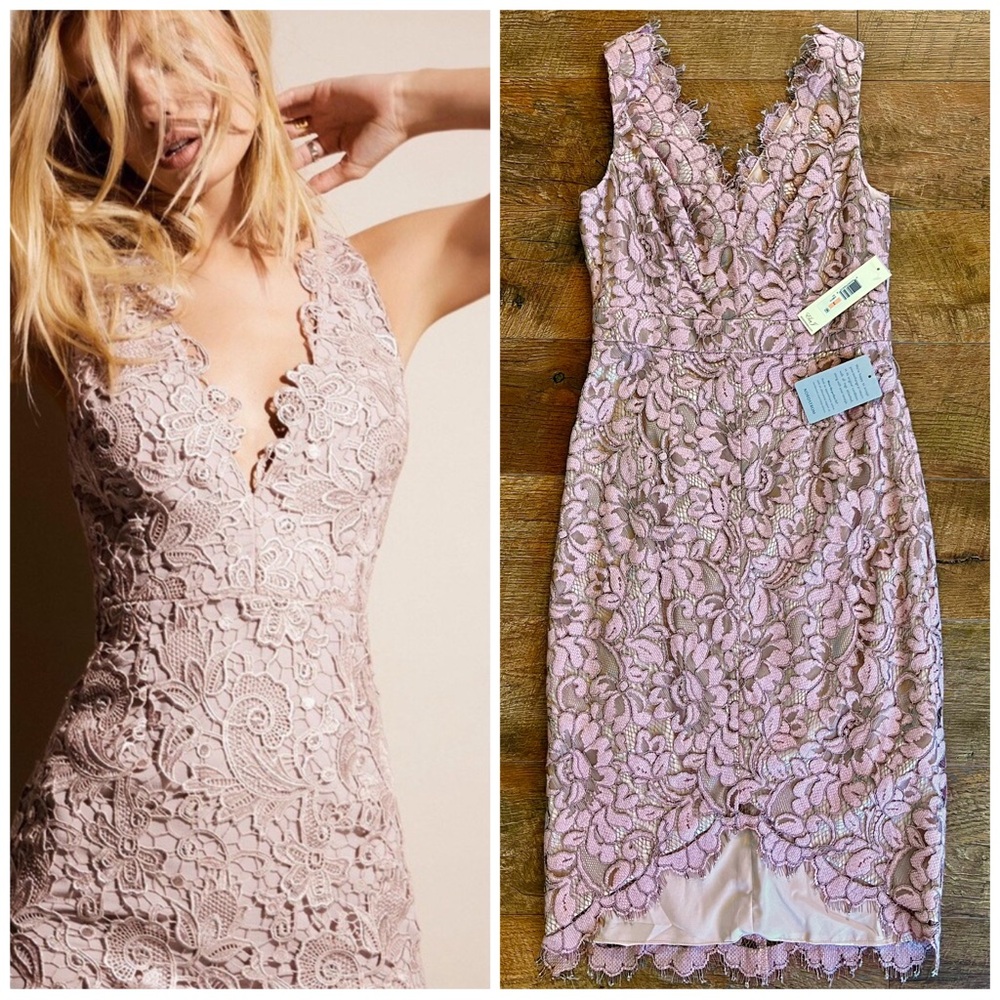 Eliza J. Nordstroms NWT Tulip Hem Pink Lace Midi Dress Size 2